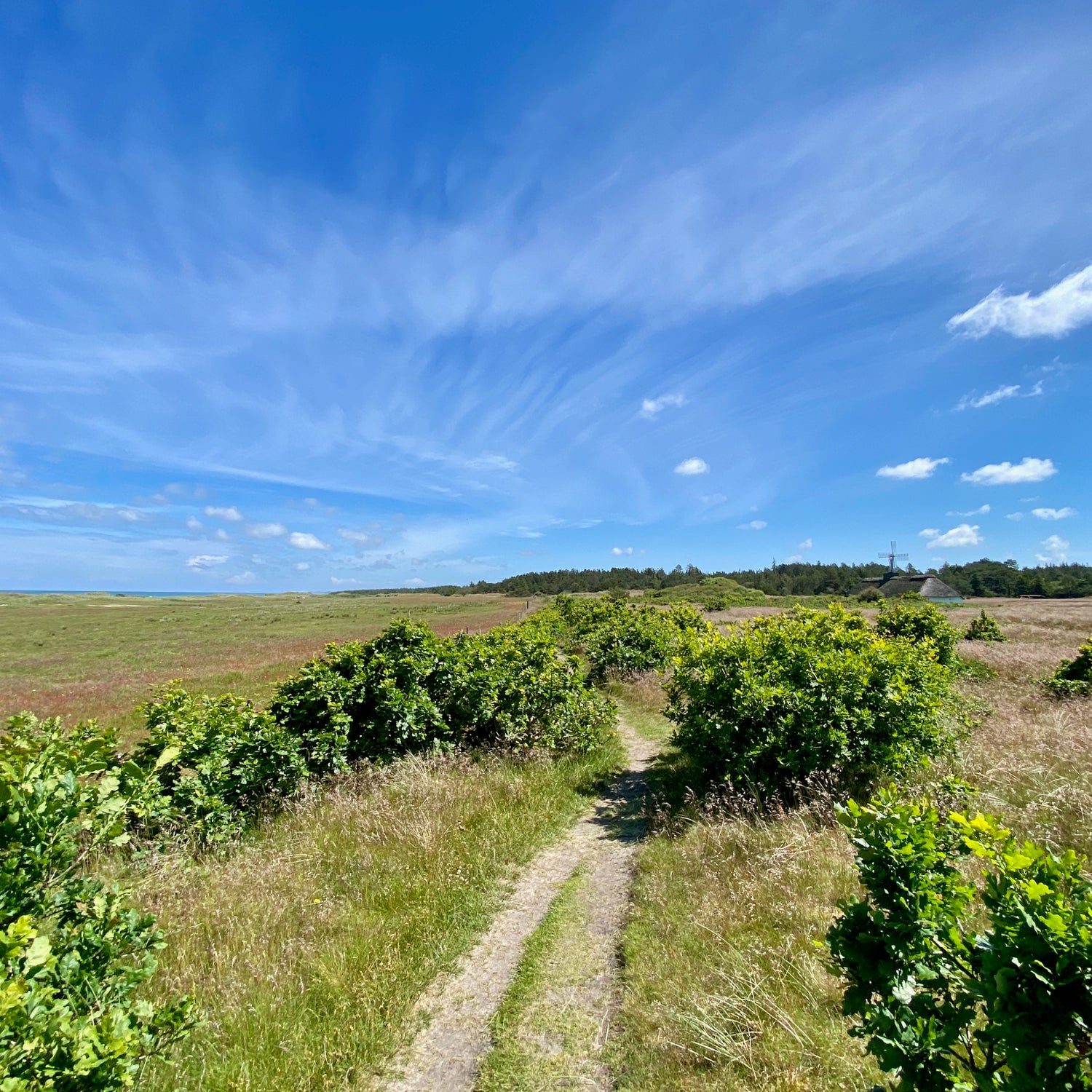 Uggerby & Tversted Klitplantager - Hjørring