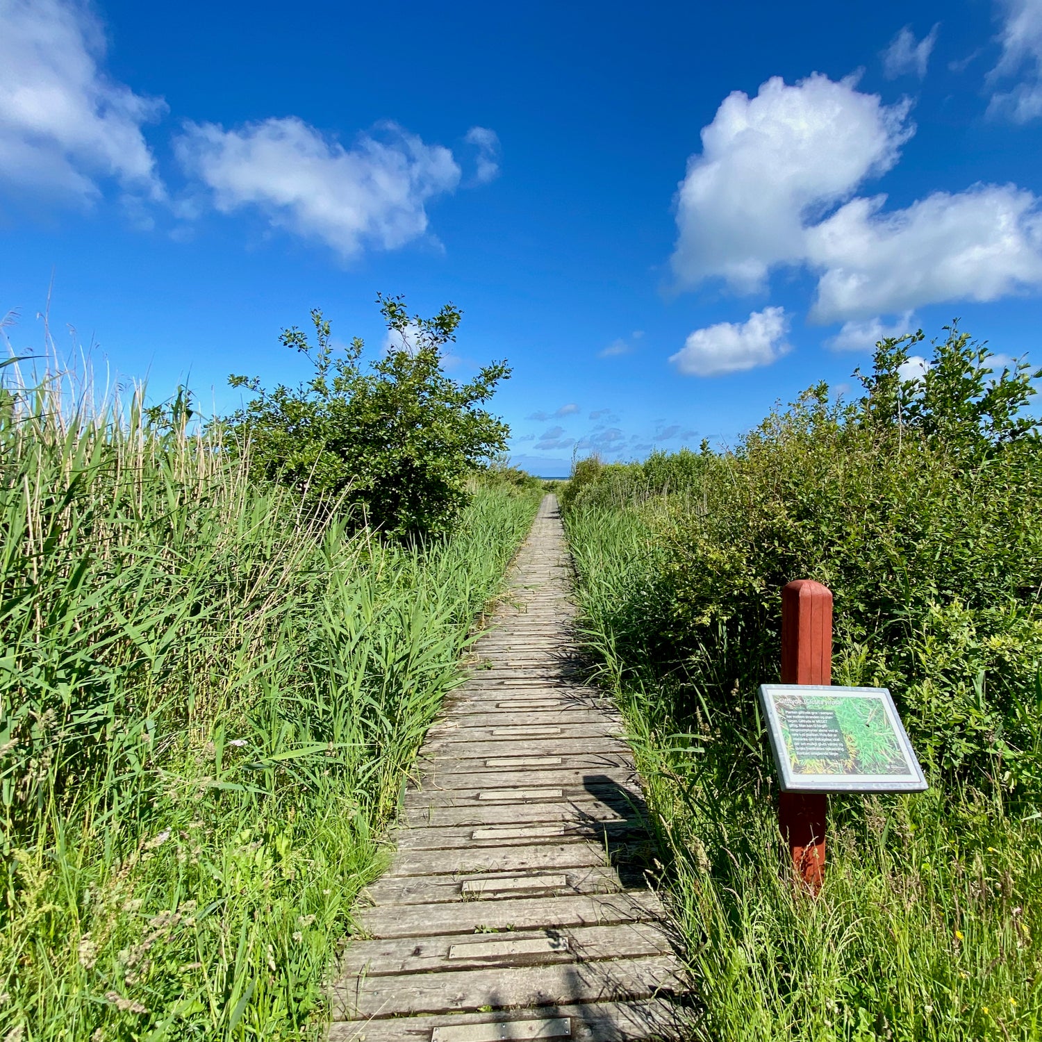 Uggerby & Tversted Klitplantager - Hjørring
