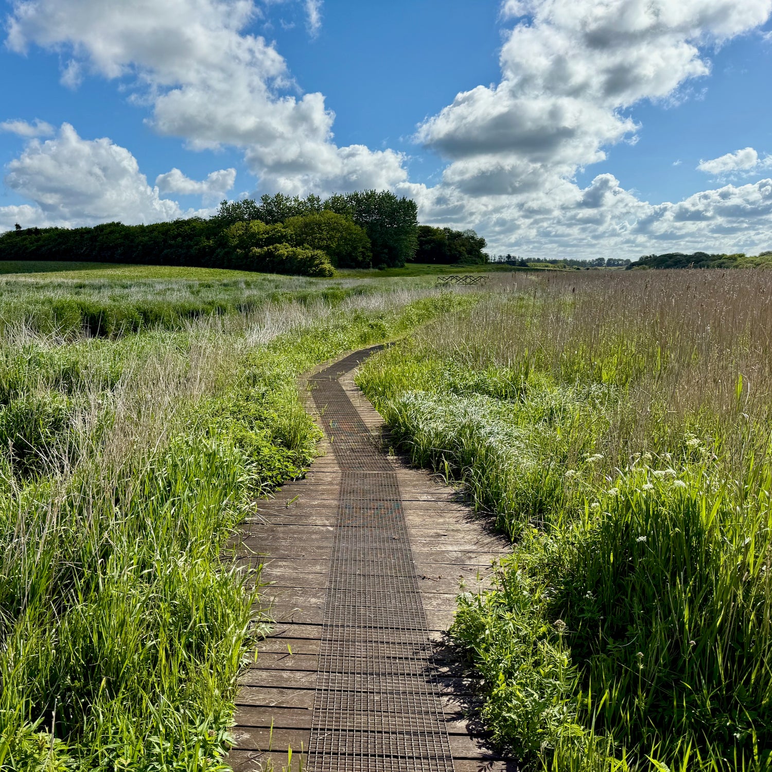Bøvlingbjerg & Møborg Bakkeø