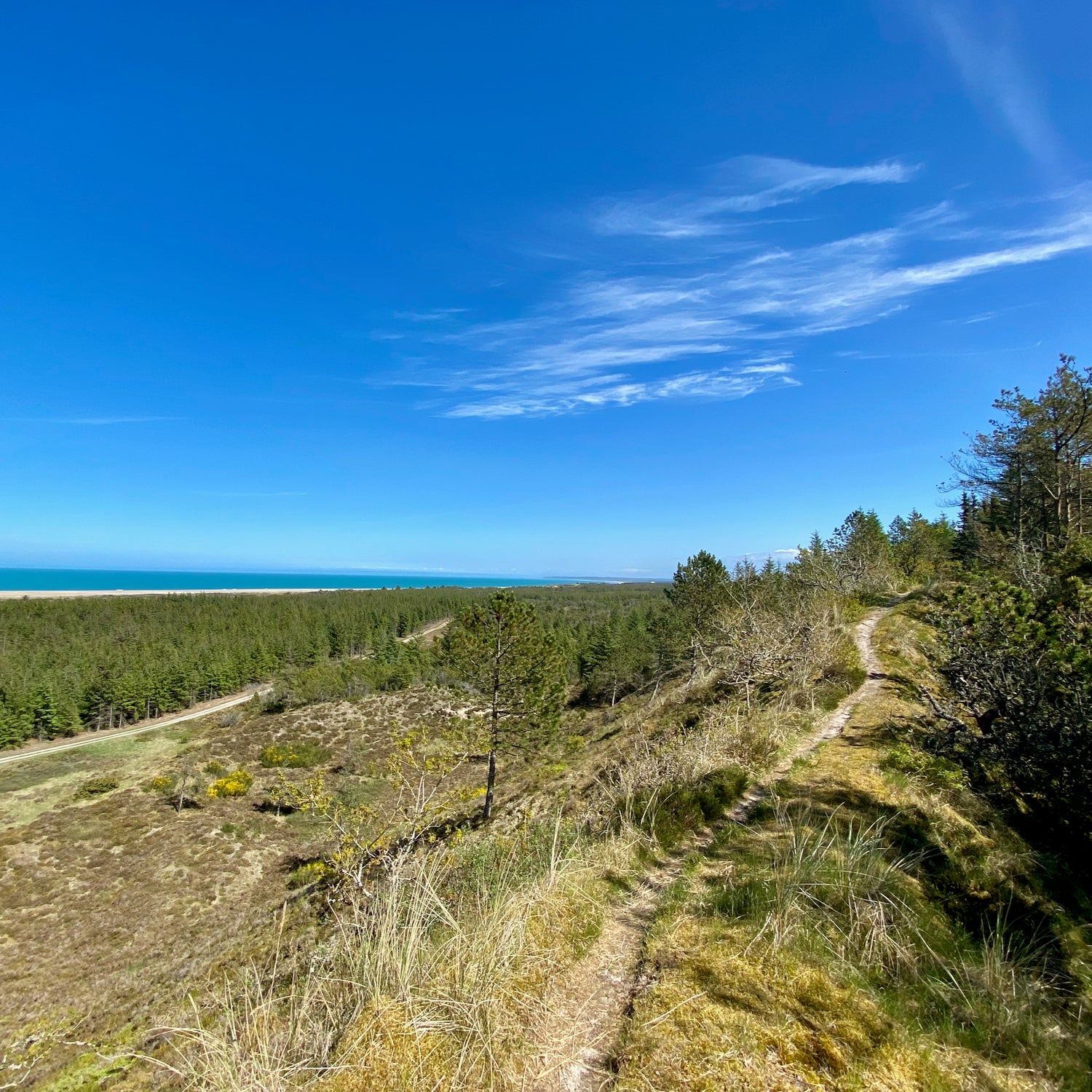 Vester Thorup & Klim Bjerg - Jammerbugt