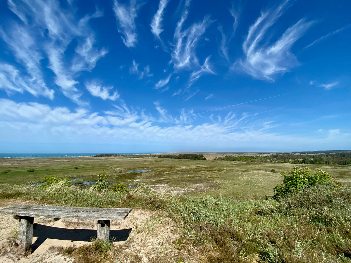 Hiking trails at Vigsø Holiday Center