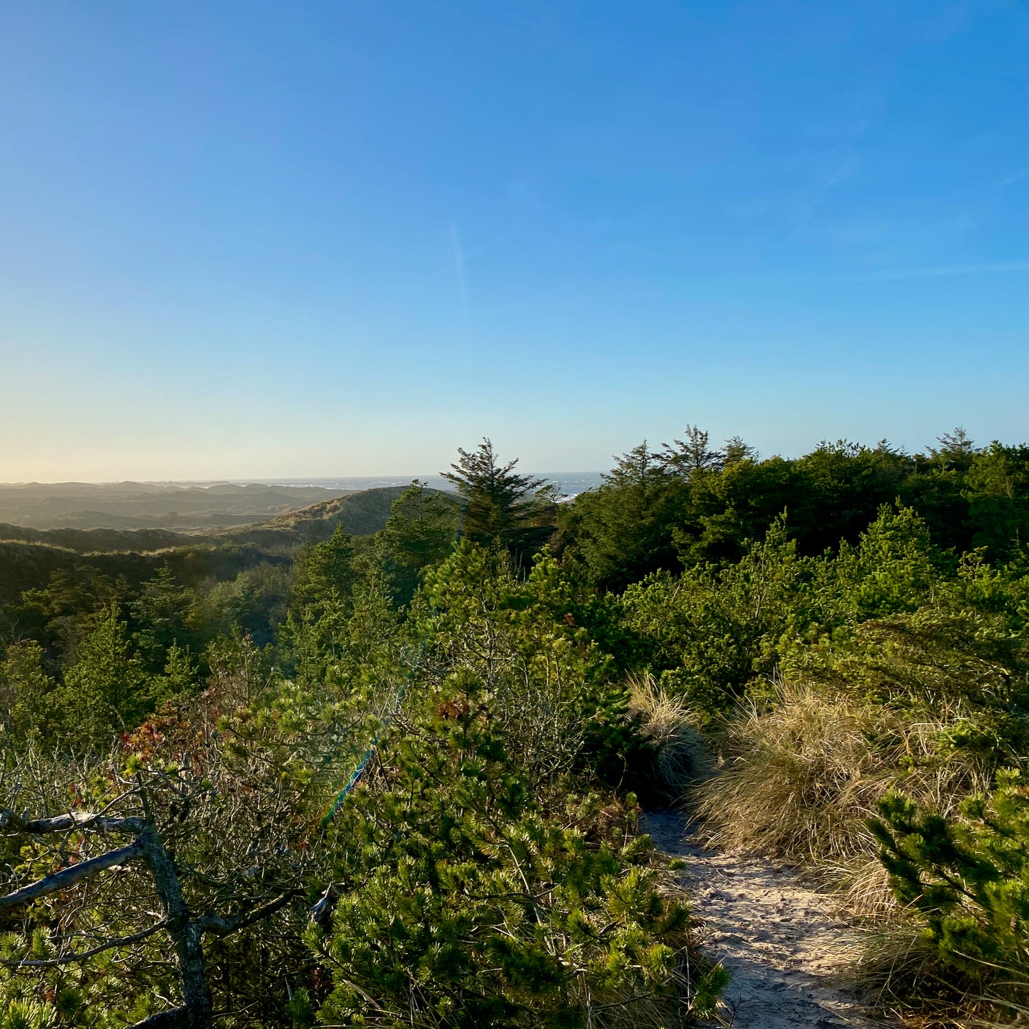 Bøgsted Rende & Klitmøller - Nationalpark Thy