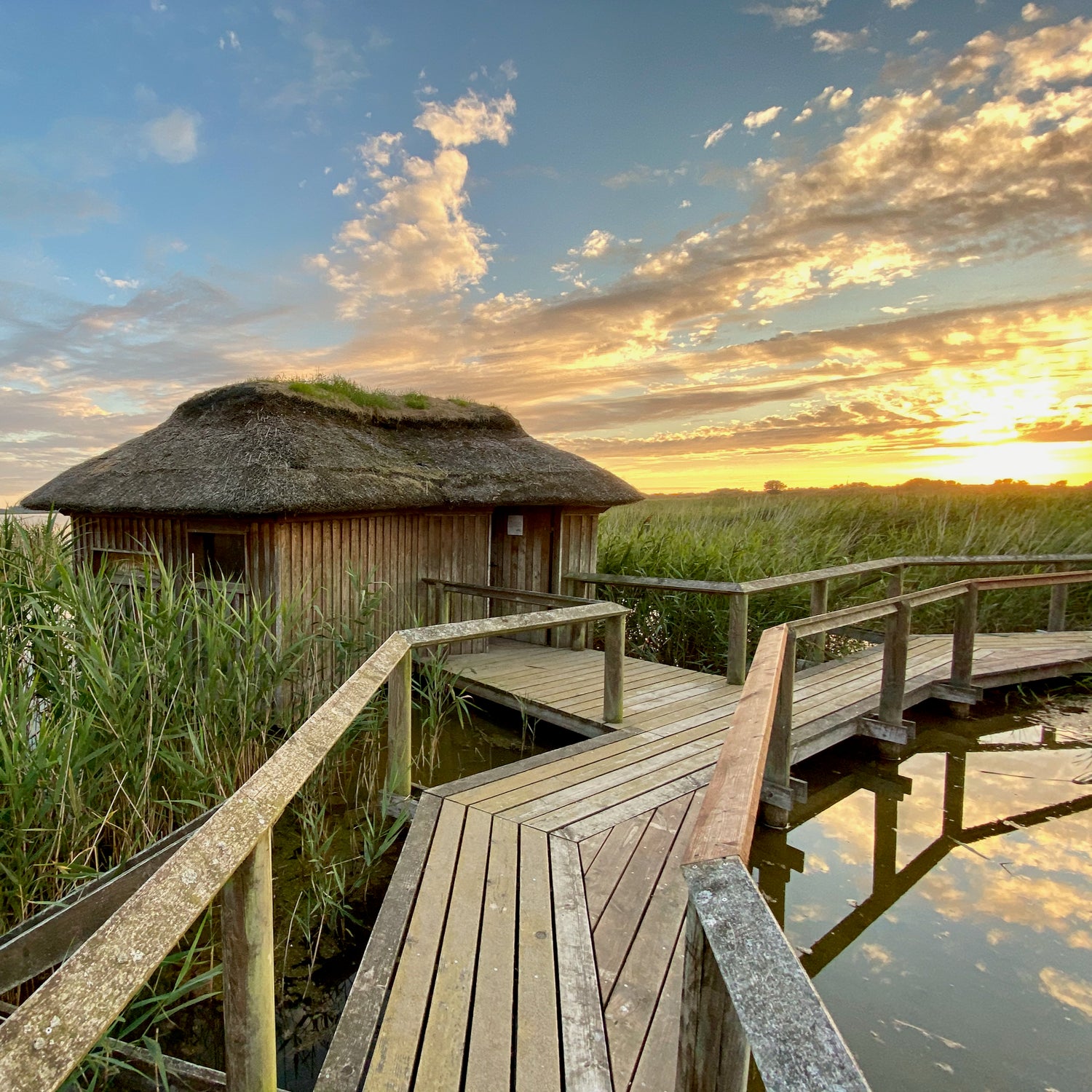 Bulbjerg, Østerild & Vejlerne - Thy