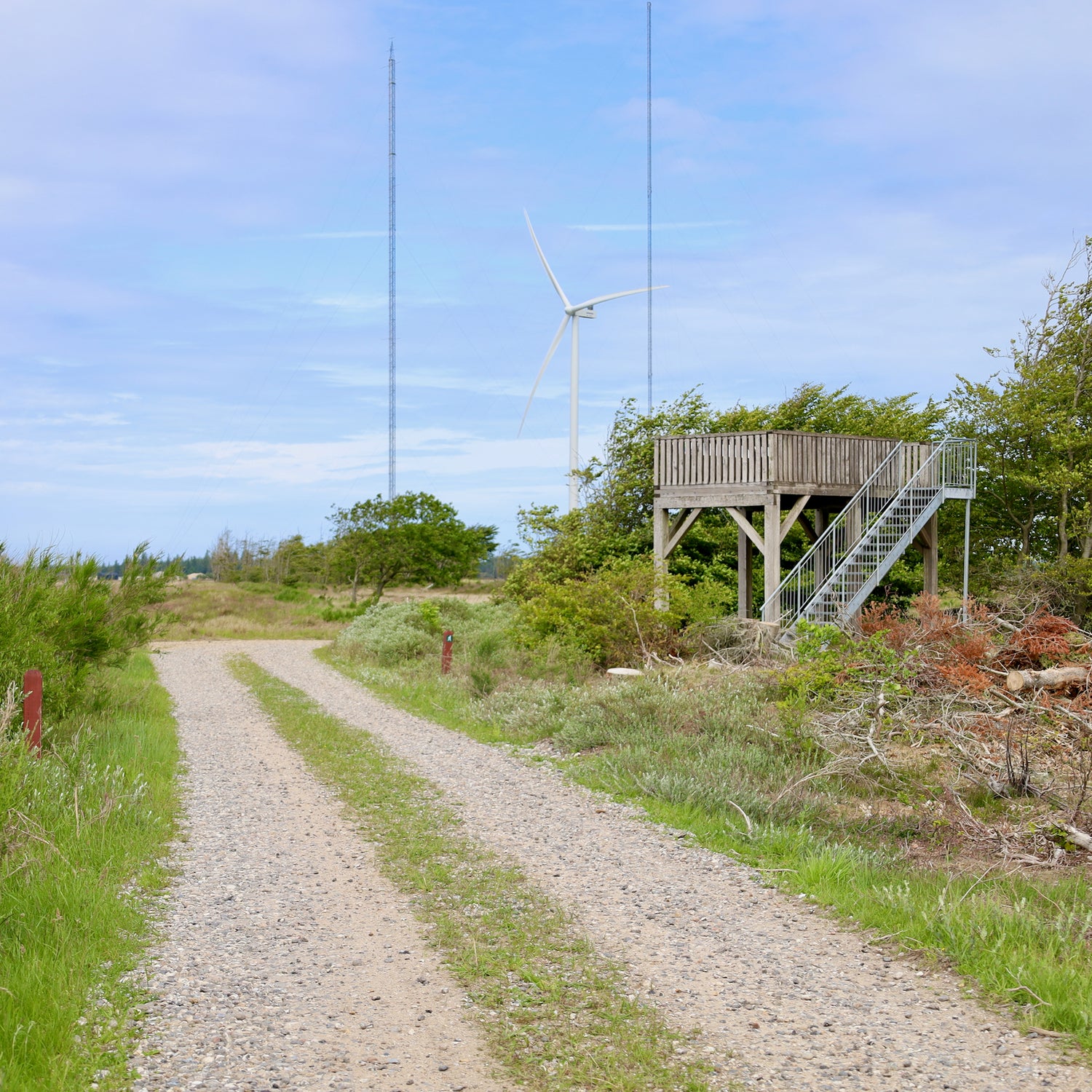 Bulbjerg, Østerild & Vejlerne - Thy