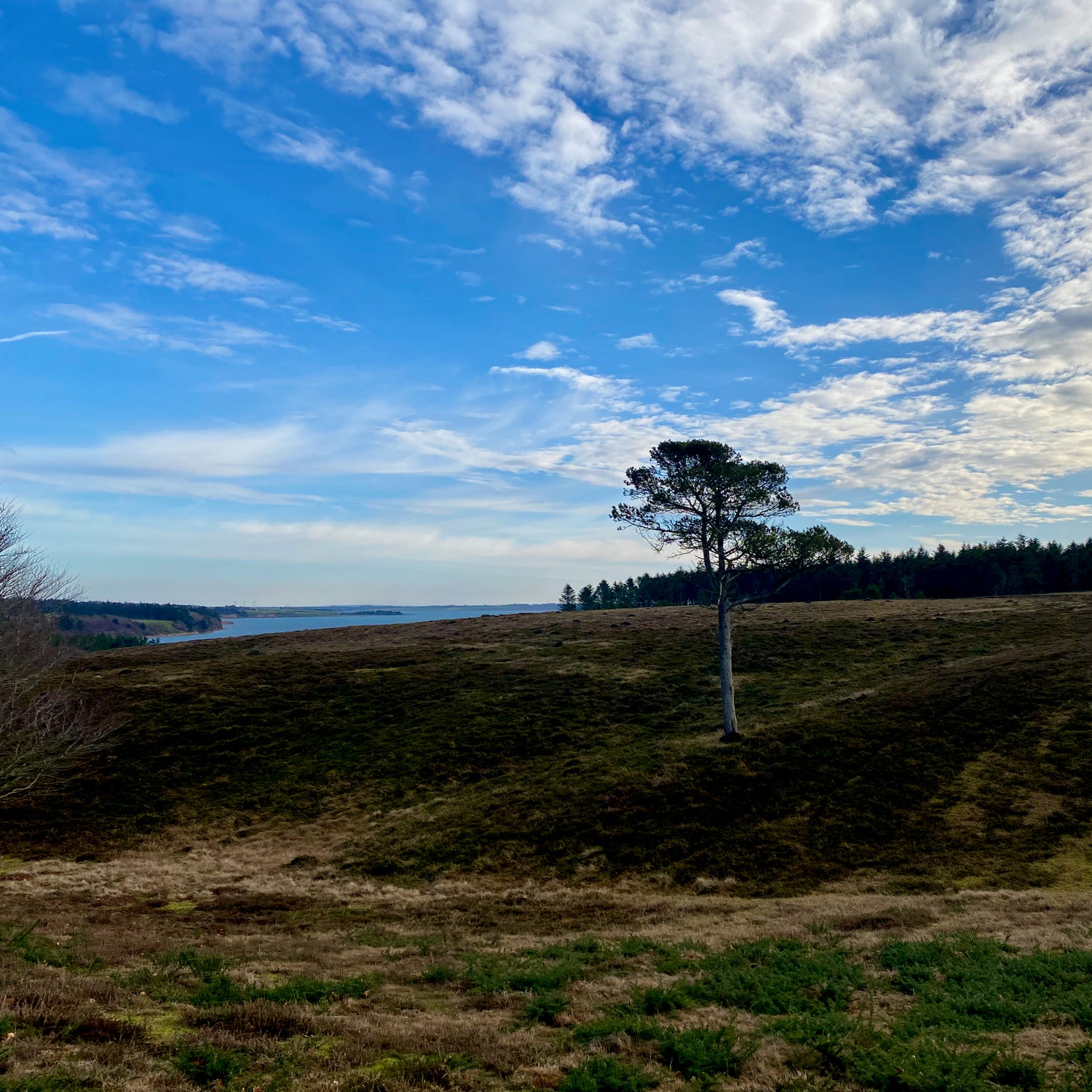 Doverodde & Ydby Hede - Thy