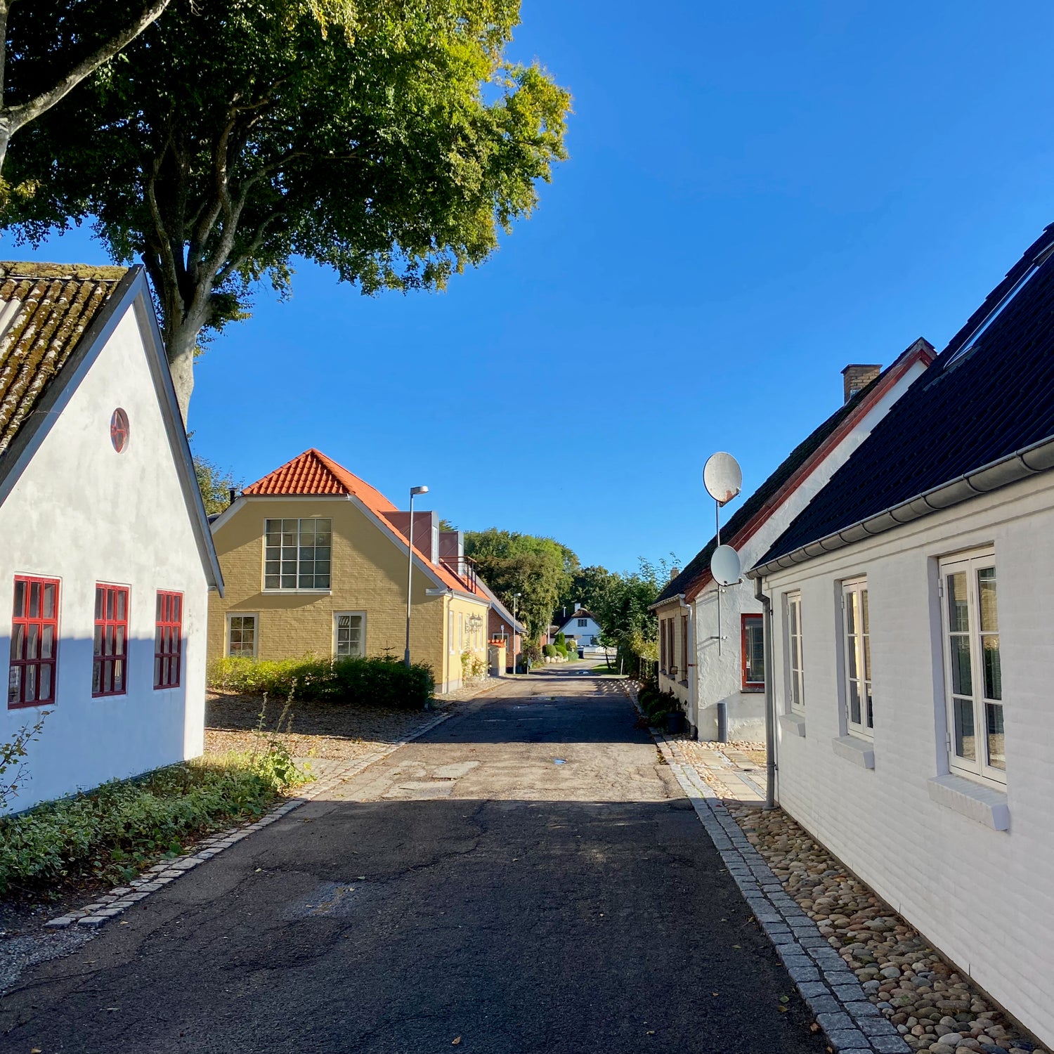 Doverodde & Ydby Hede - Thy