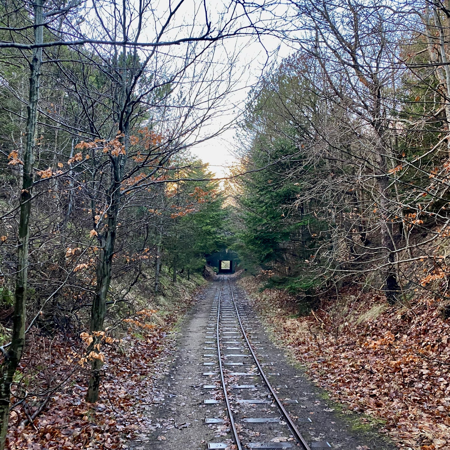 Hanstholm & Vildtreservatet - Nationalpark Thy