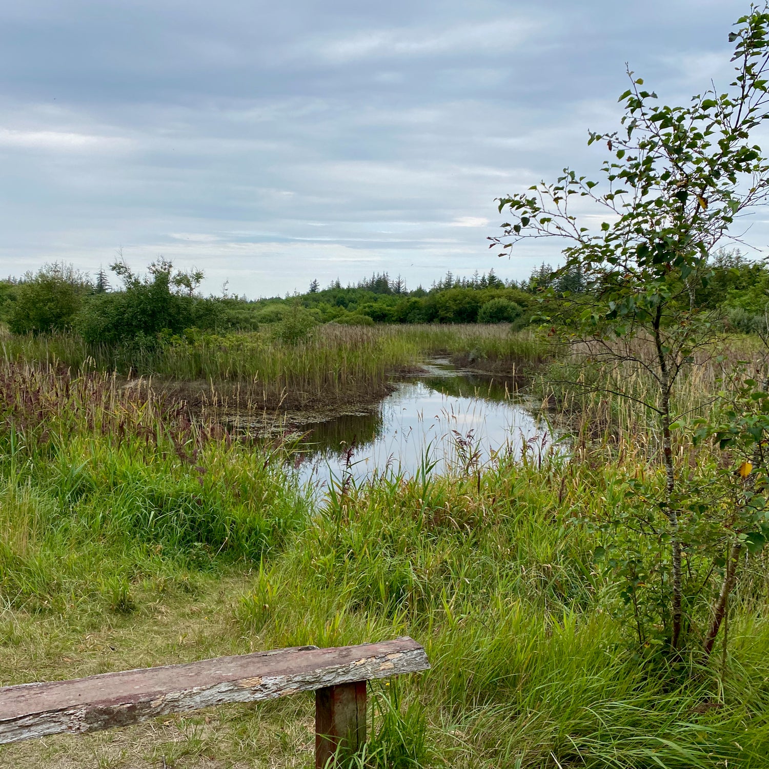 Stenbjerg & Vorupør - Nationalpark Thy