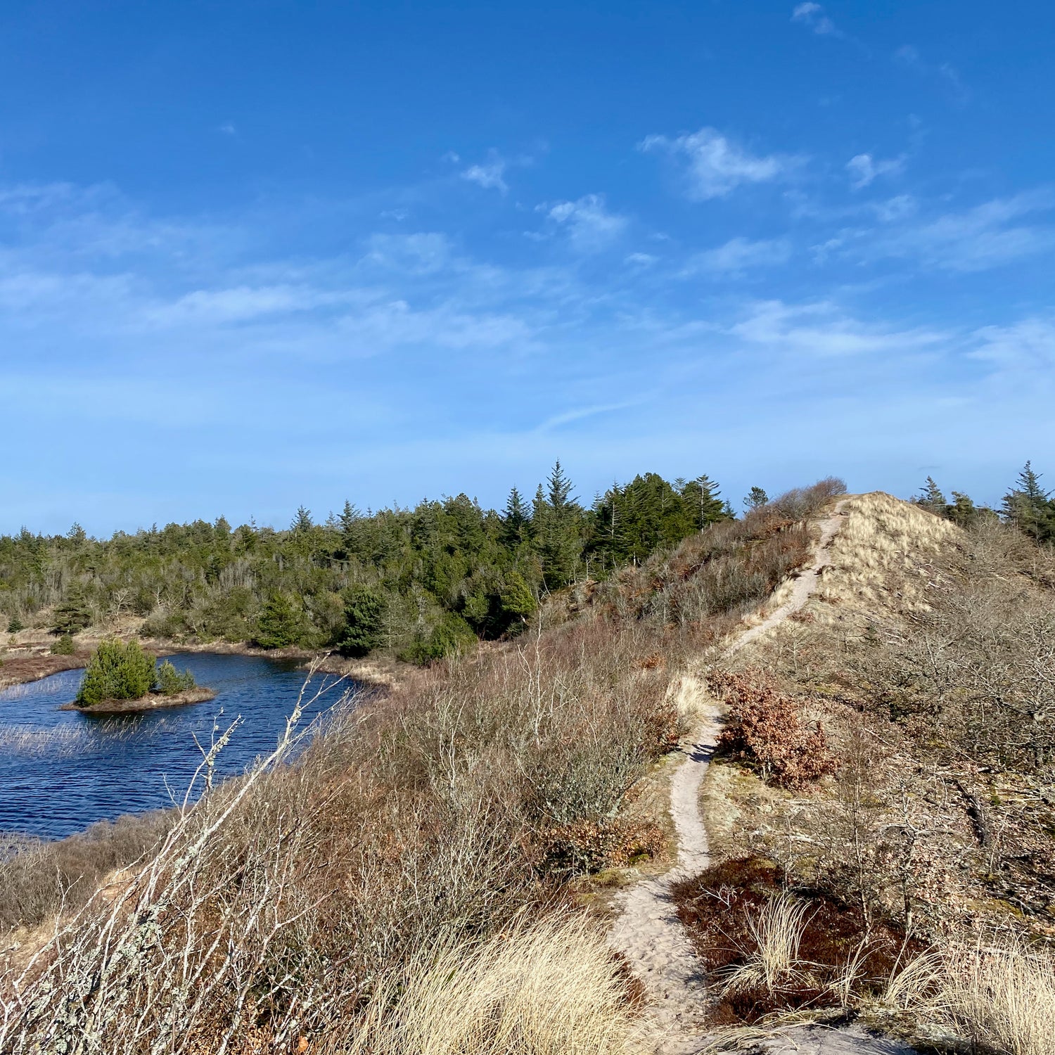 Stenbjerg & Vorupør - Nationalpark Thy