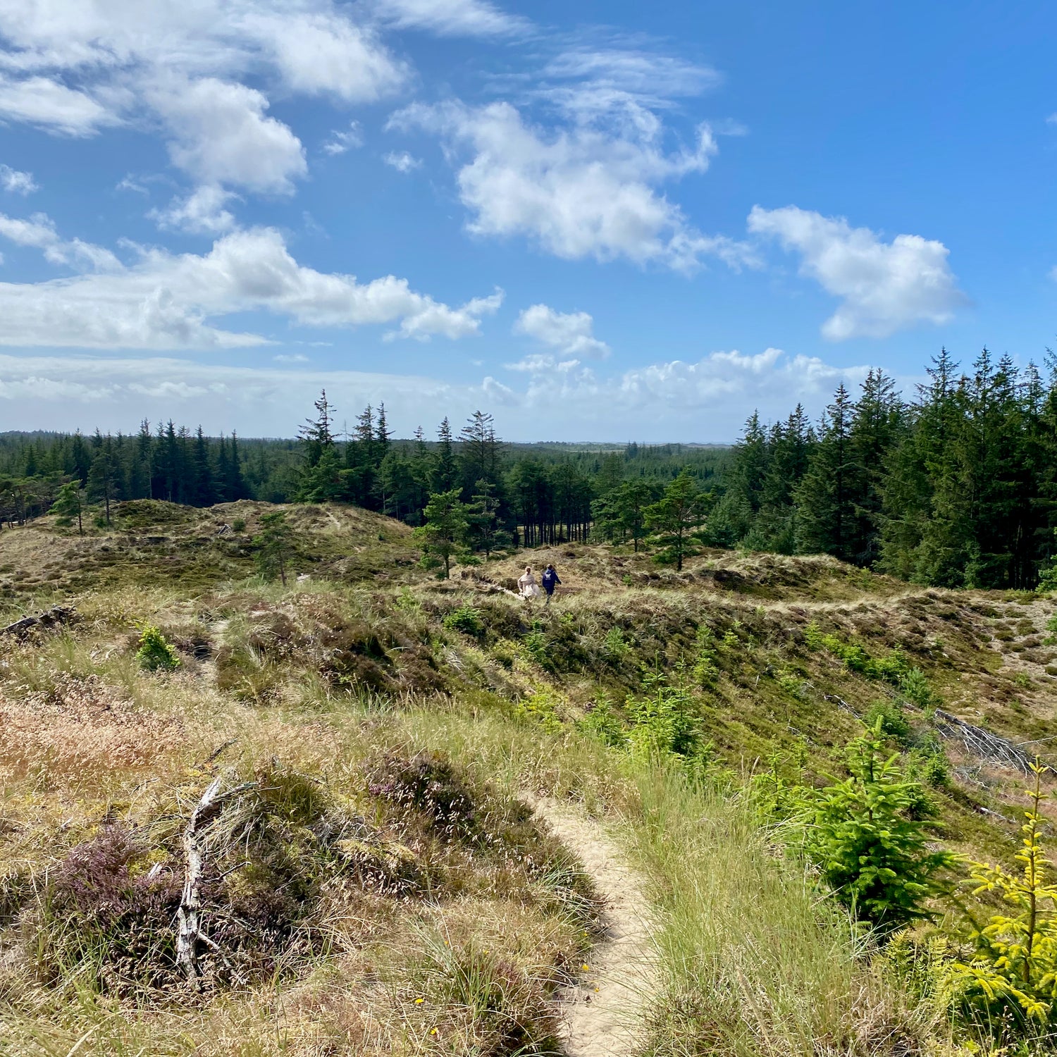 2 dage i Nationalpark Thy