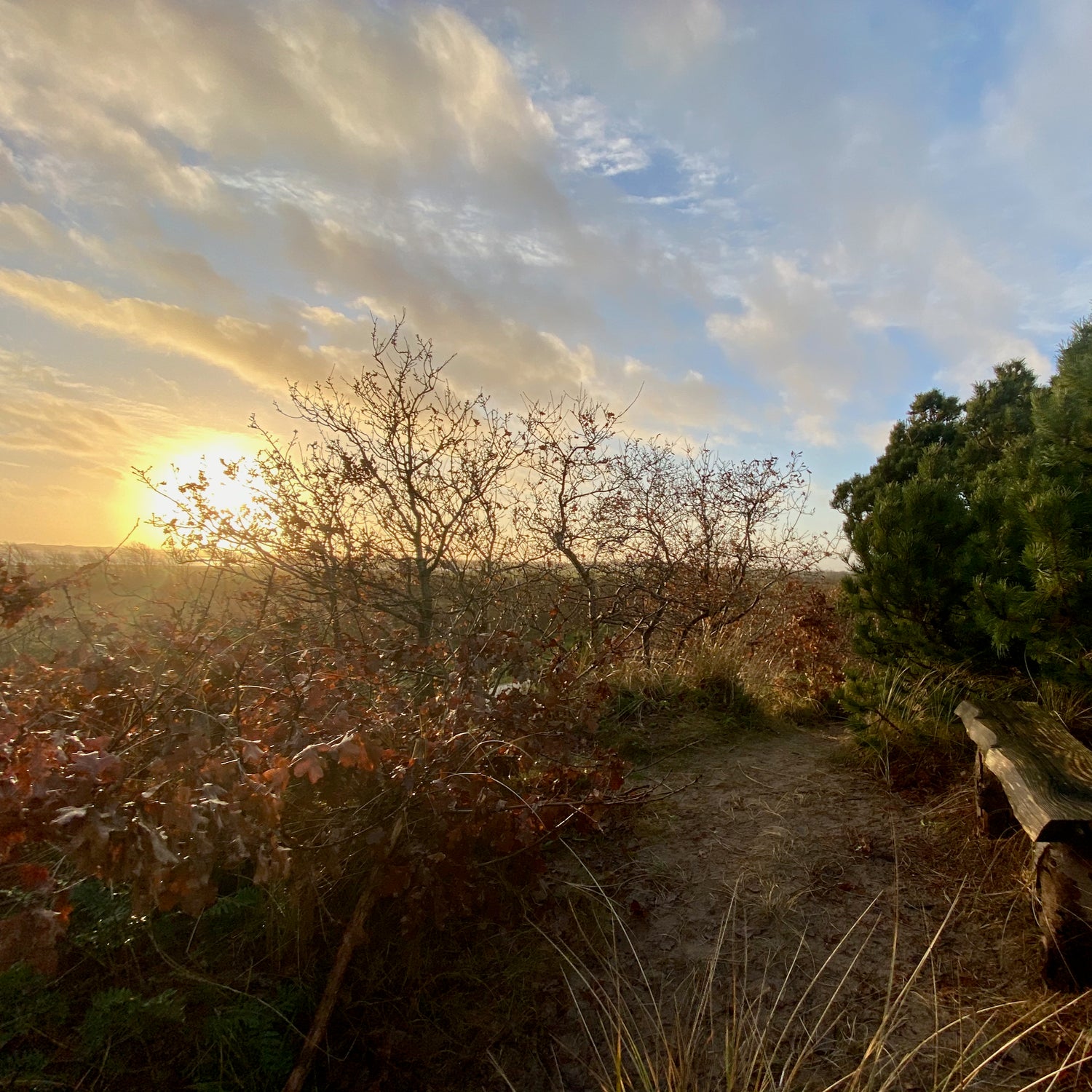 Lodbjerg - Nationalpark Thy