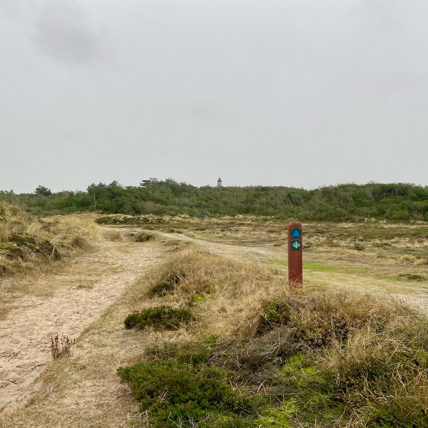 Lodbjerg - Nationalpark Thy