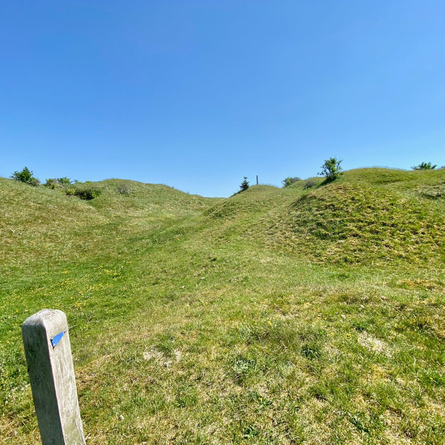 1 dag i Nordjylland (Hjørring)