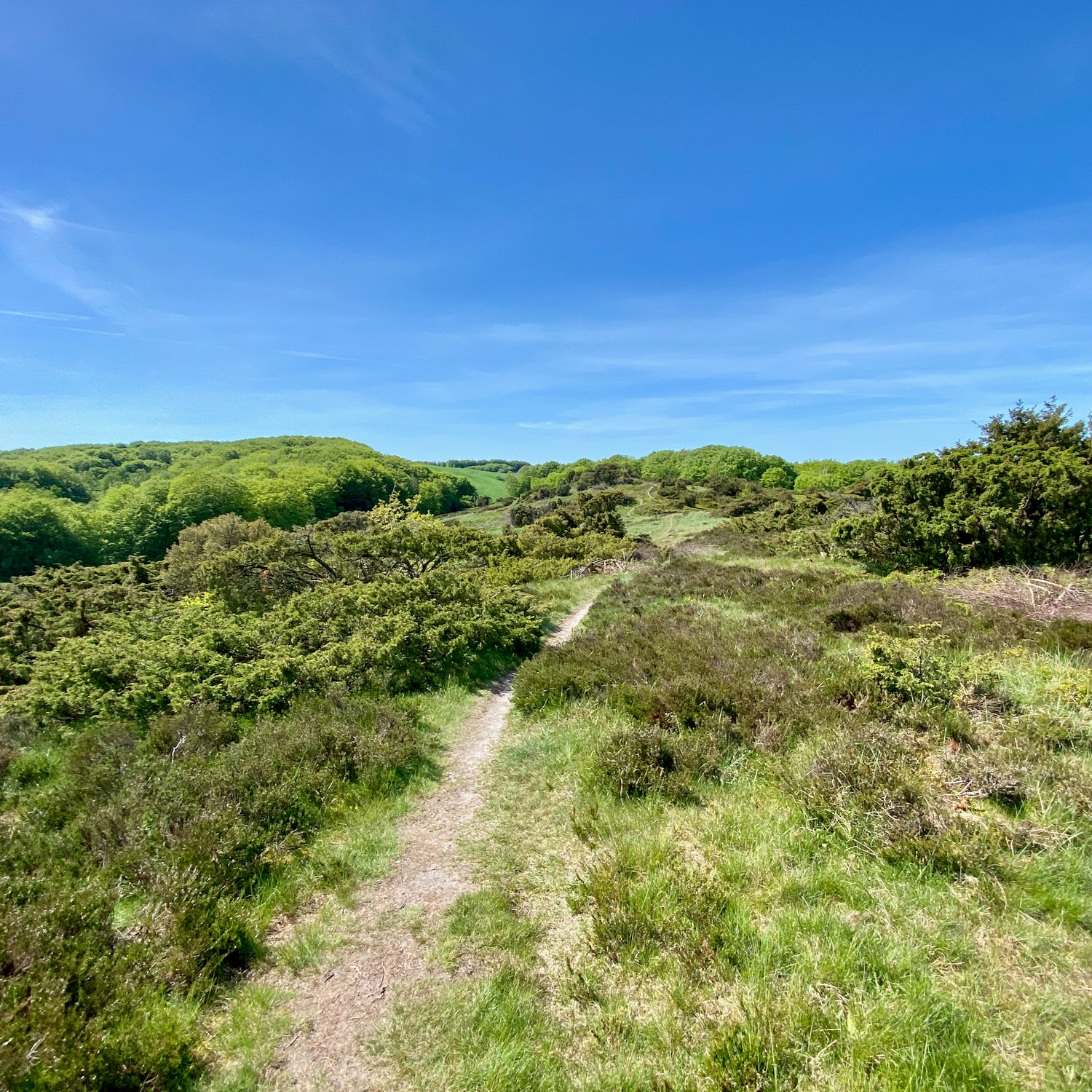 1 dag i Nordjylland (Hjørring)