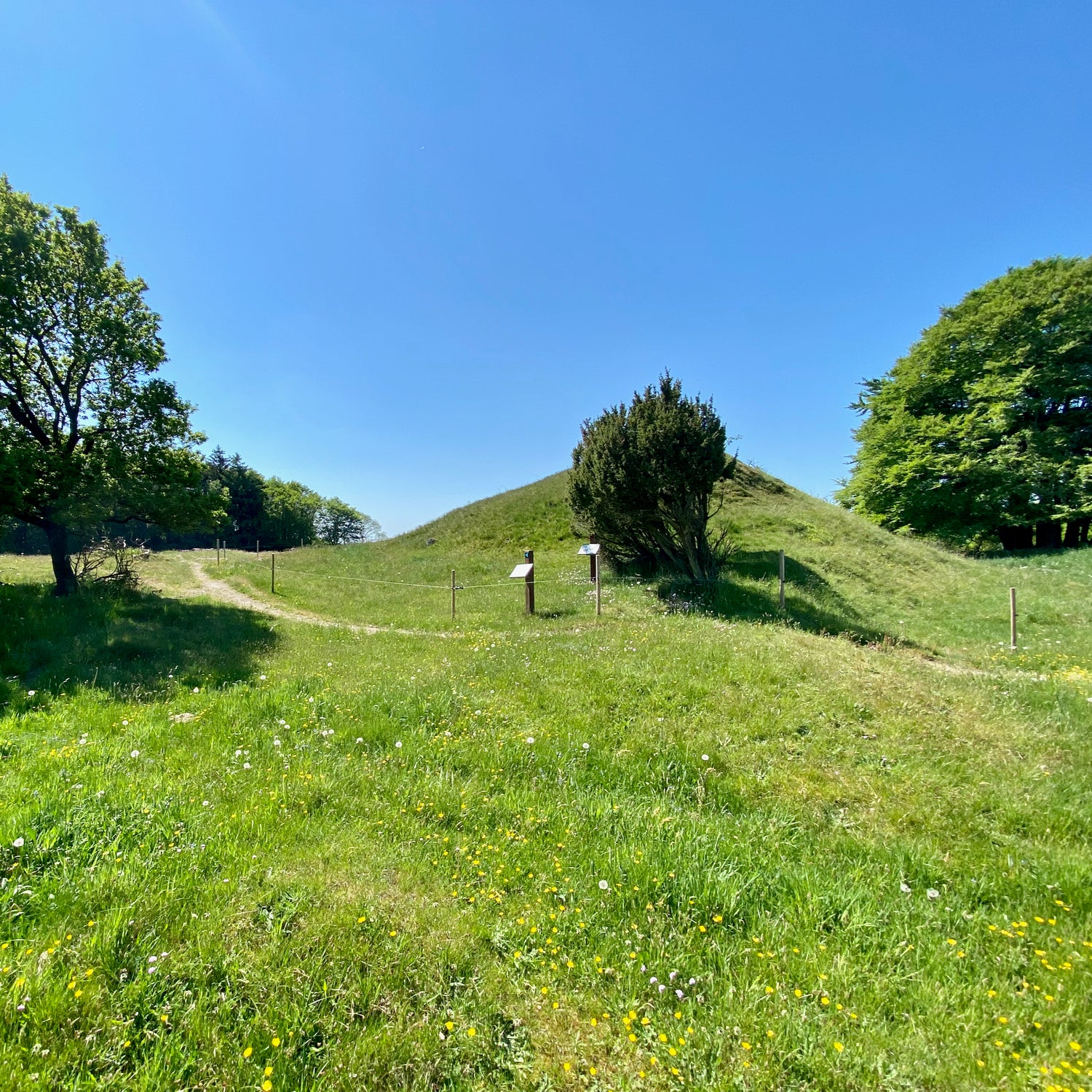 2 dage i Nordjylland (Hjørring)