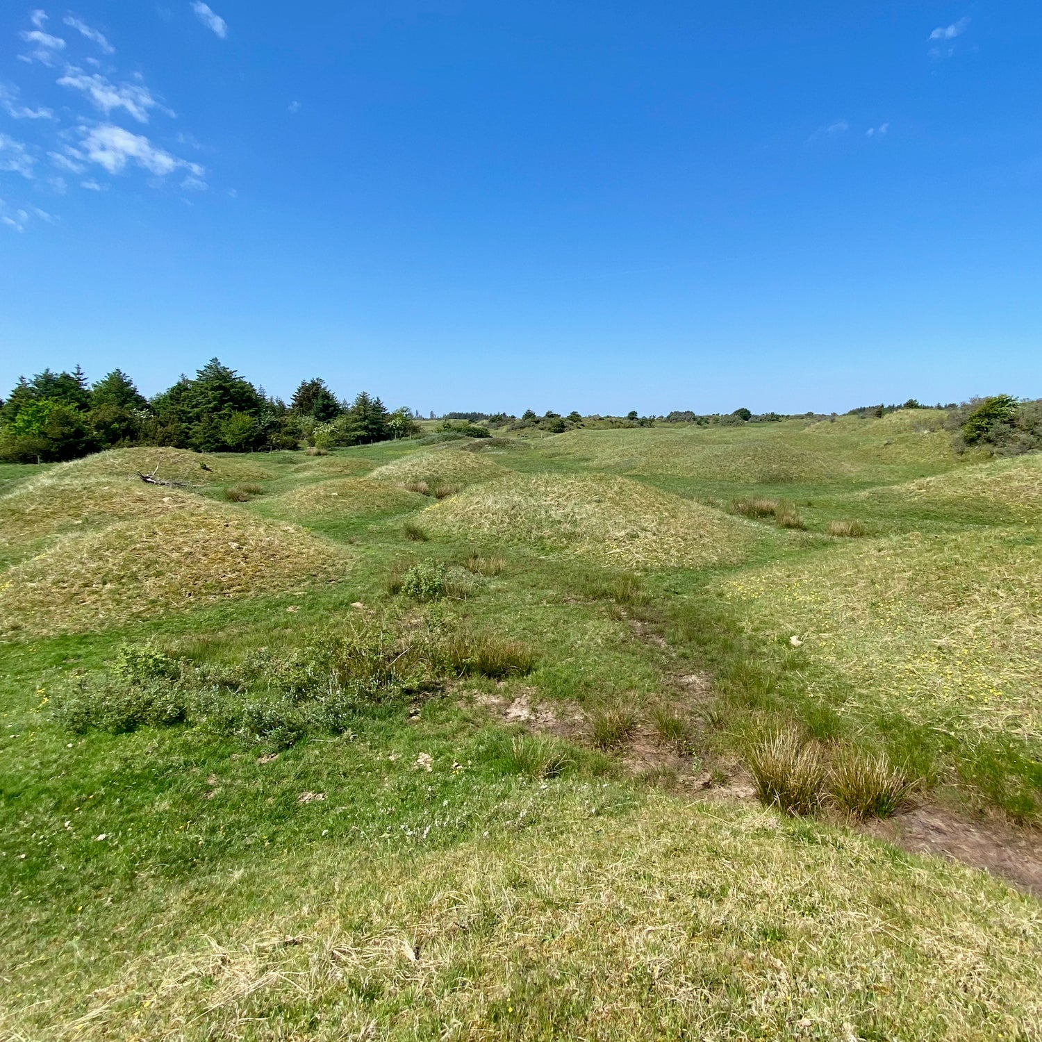 2 dage i Nordjylland (Hjørring)