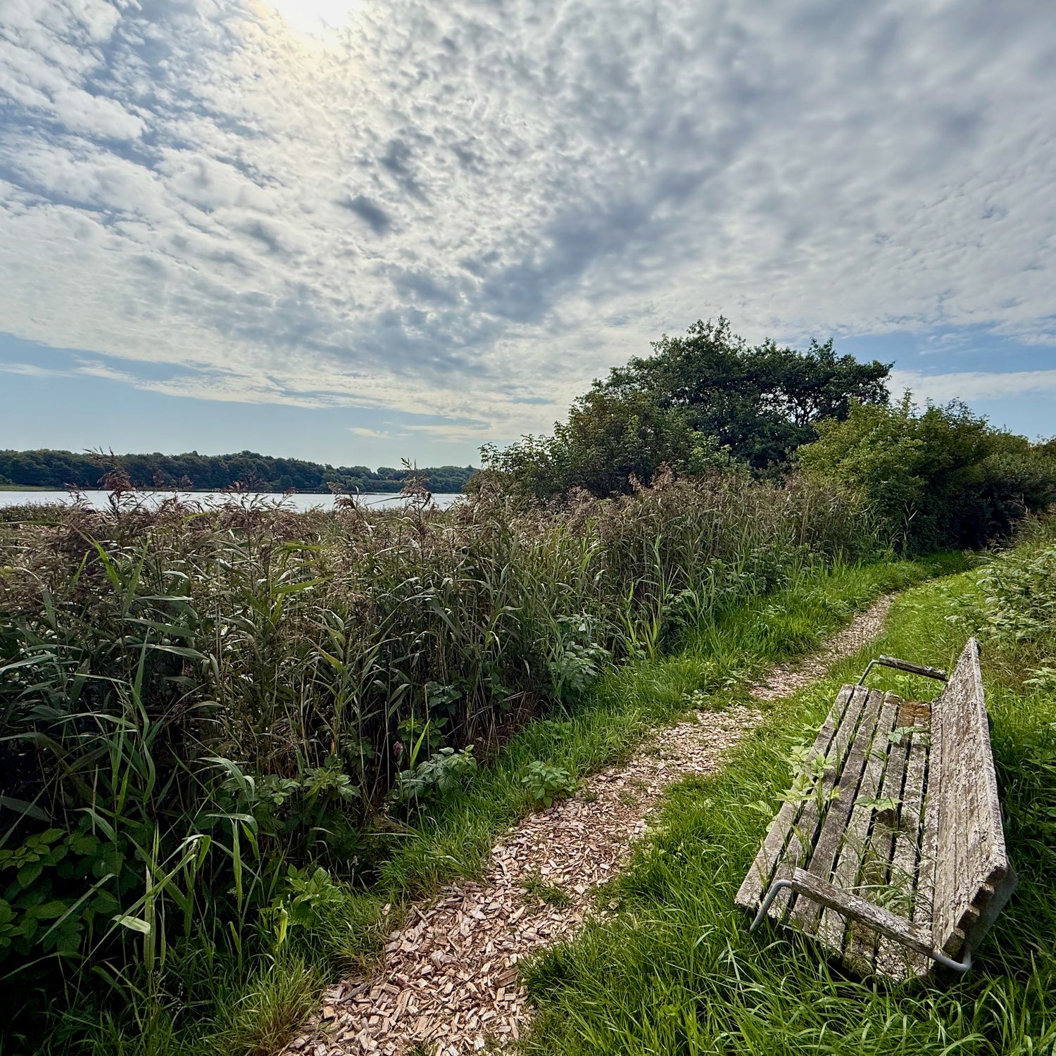 Borbjerg, Ryde & Feldborg