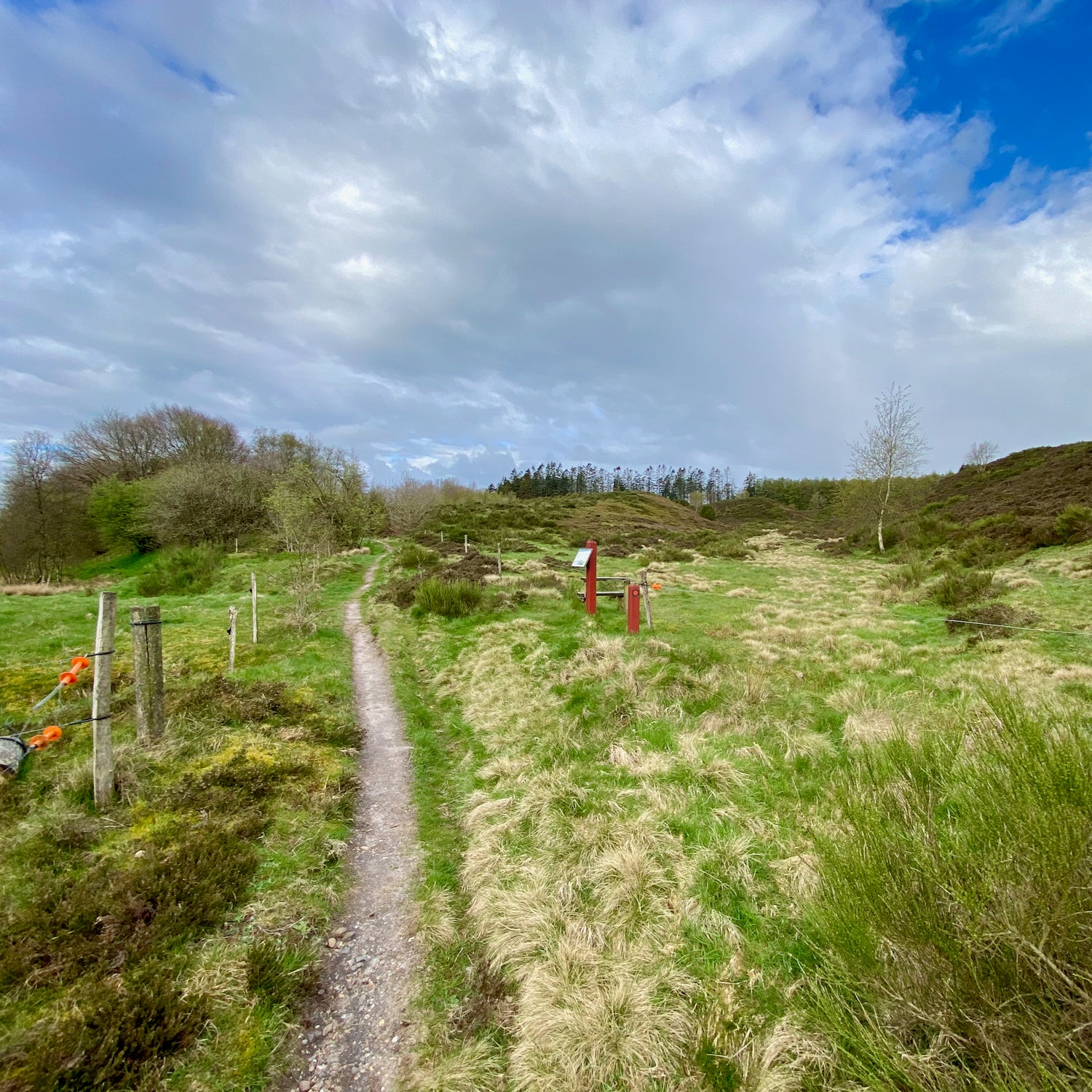 Kilen - West Jutland (Struer)