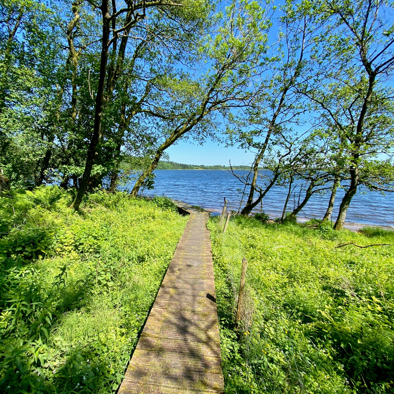 Kilen - Vestjylland (Struer)