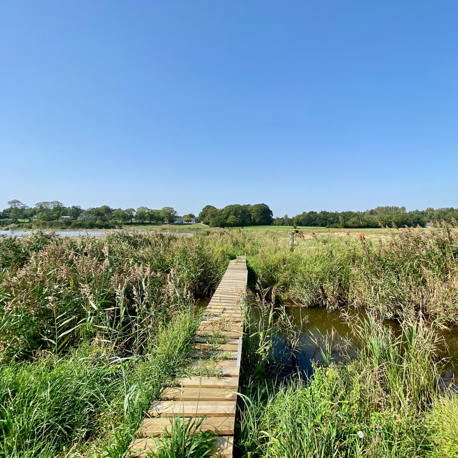 Mols Bjerge National Park - Kalø