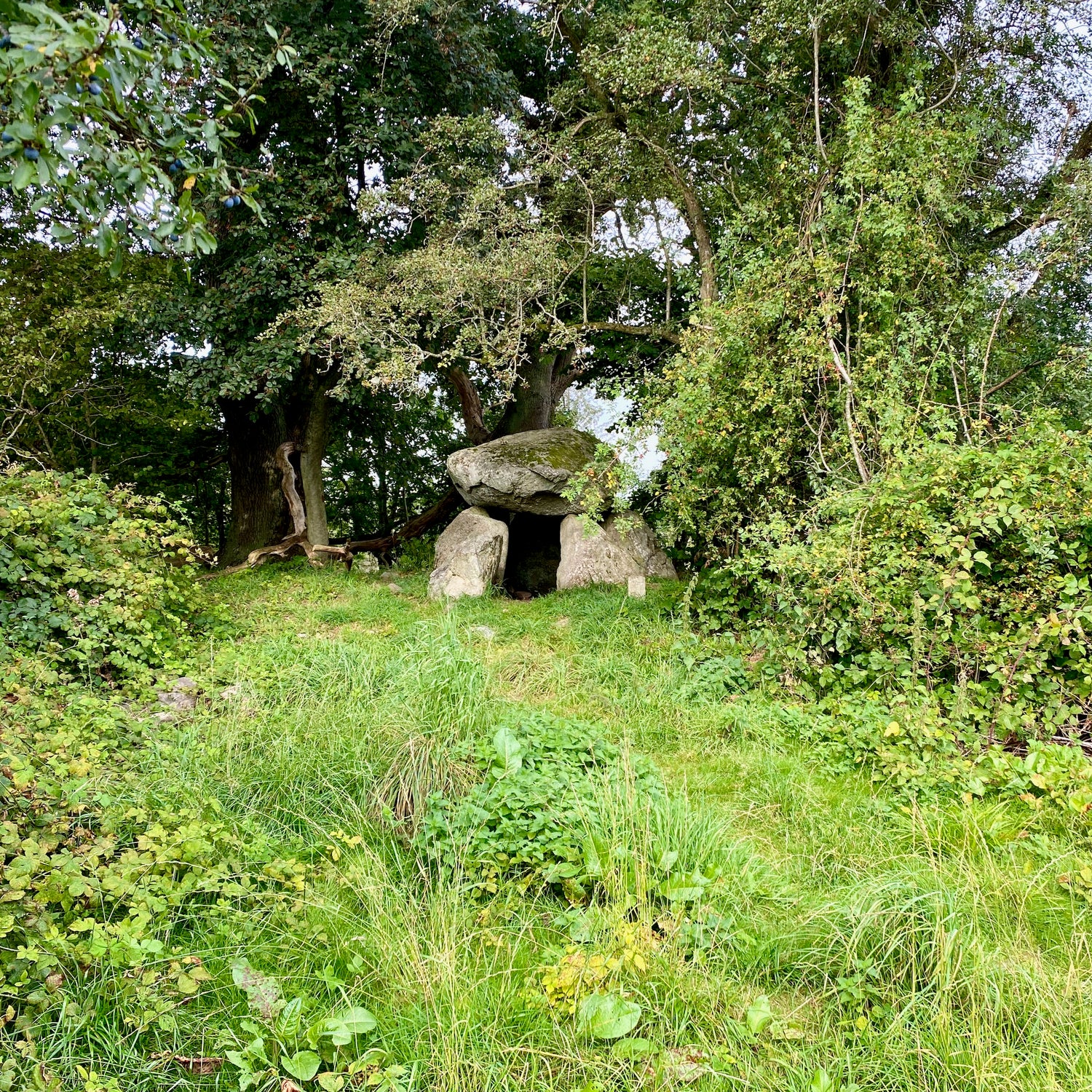 Mols Bjerge National Park - Kalø