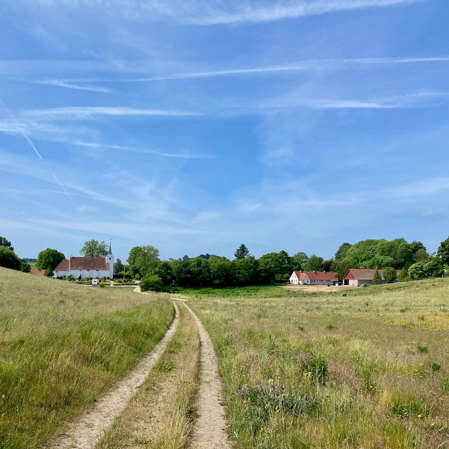 Mols Bjerge National Park - the northern part