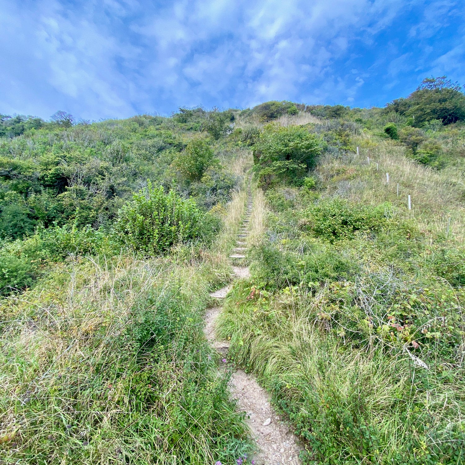 Nationalpark Mols Bjerge - den østlige del