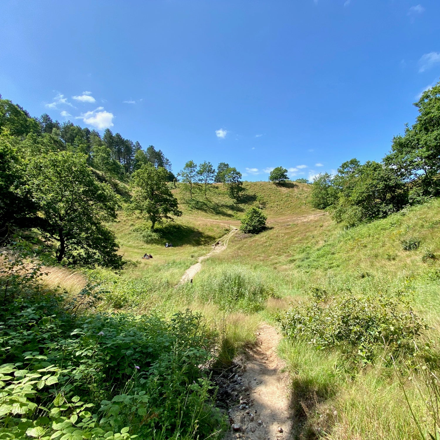 Nationalpark Mols Bjerge - den sydlige del