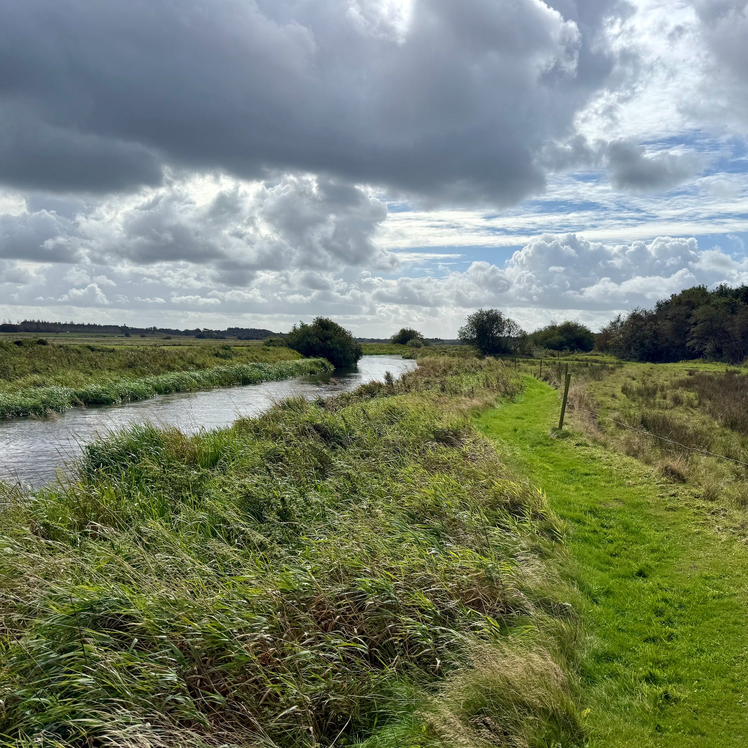 Borbjerg, Ryde & Feldborg