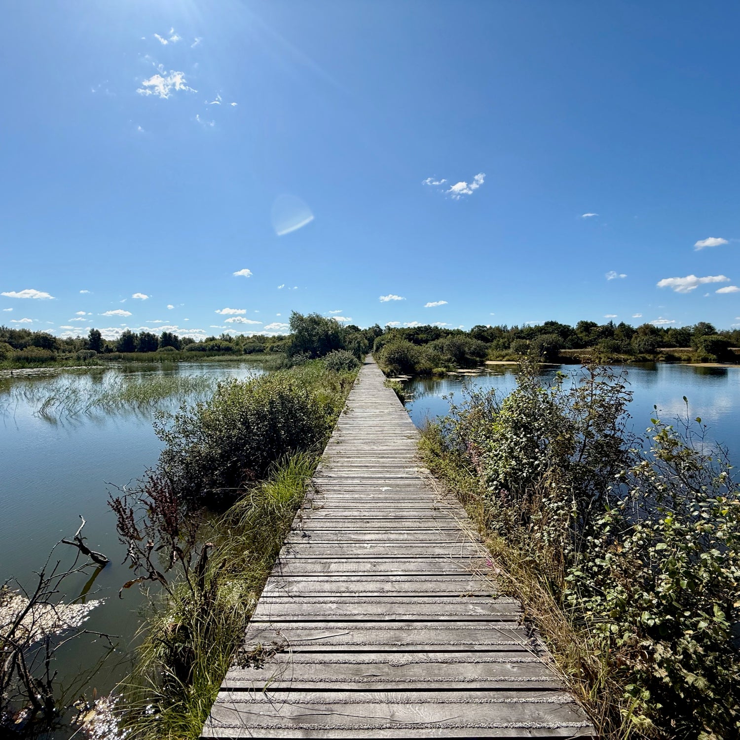 Borbjerg, Ryde & Feldborg