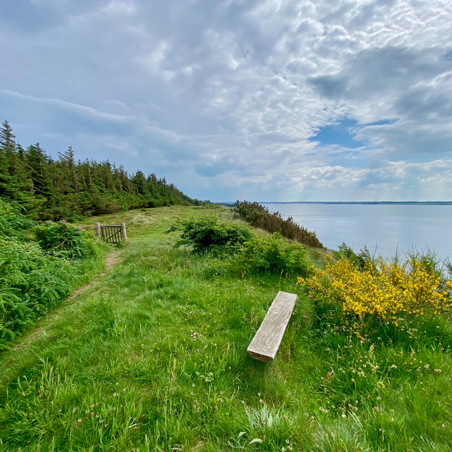 Venø & Thyholm - West Jutland (Struer)